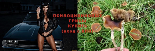 соль ск Горно-Алтайск
