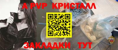 твердый Кингисепп