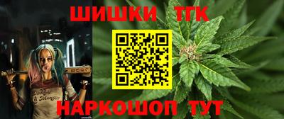 твердый Кингисепп