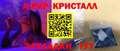 твердый Кингисепп