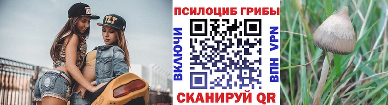Псилоцибиновые грибы мухоморы  купить наркоту  Назарово 