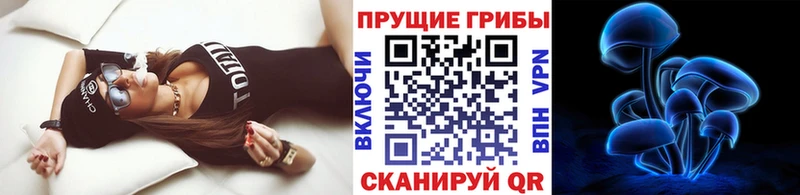 Галлюциногенные грибы Psilocybine cubensis Назарово