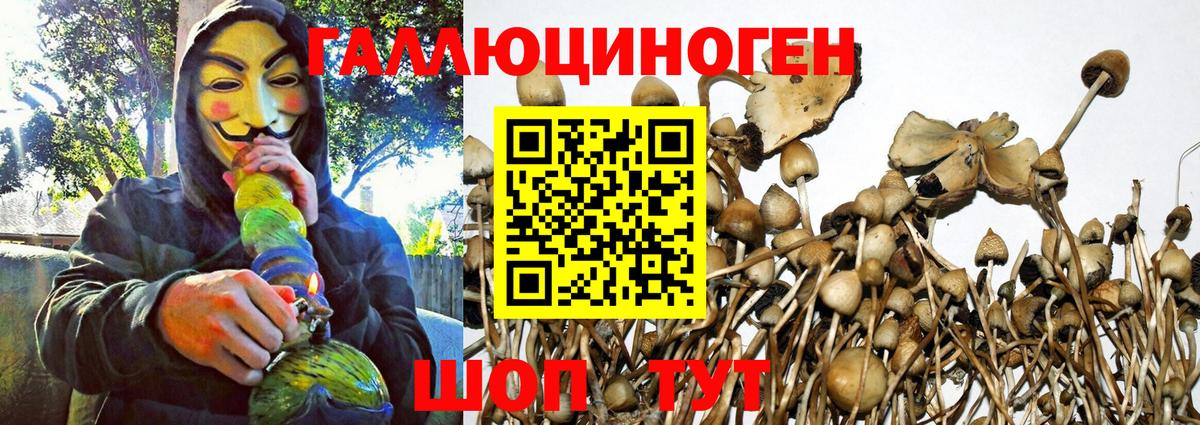 Галлюциногенные грибы мицелий Назарово