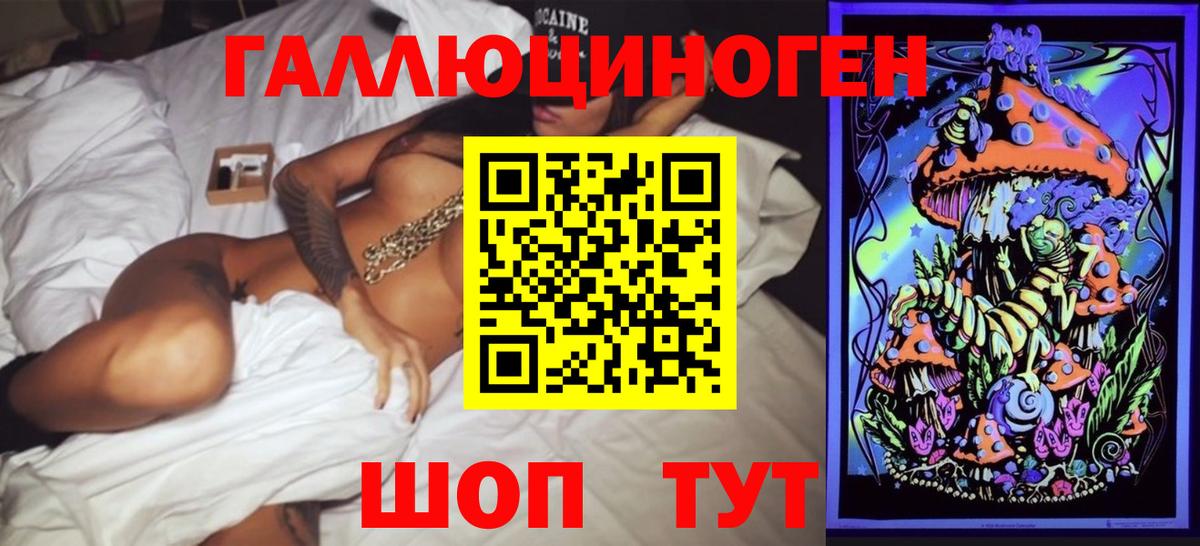 Назарово  Псилоцибиновые грибы Psilocybe  Вход с VPN 